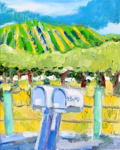 Briefkästen und Weinberg, Napa von Richard Fox
