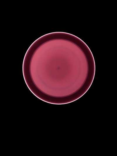 Ohne Titel, 2004 von Richard Green