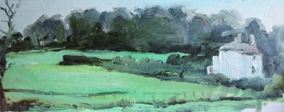 Caldy House und Hecke von Rob D Davies