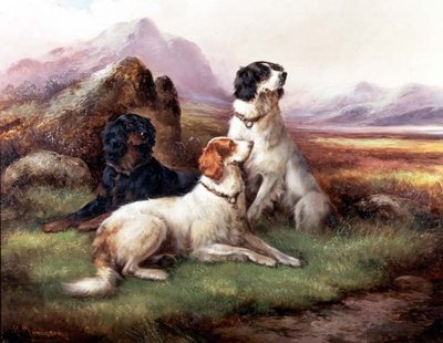 Setter in einer Highland-Landschaft von Robert Cleminson