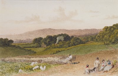 Das Rübenfeld von Robert Hills