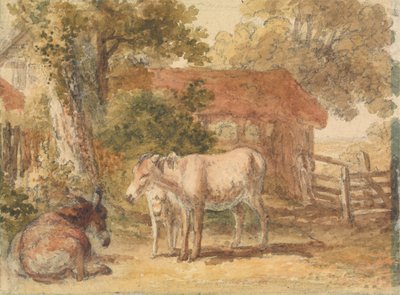 Drei Esel von Robert Hills