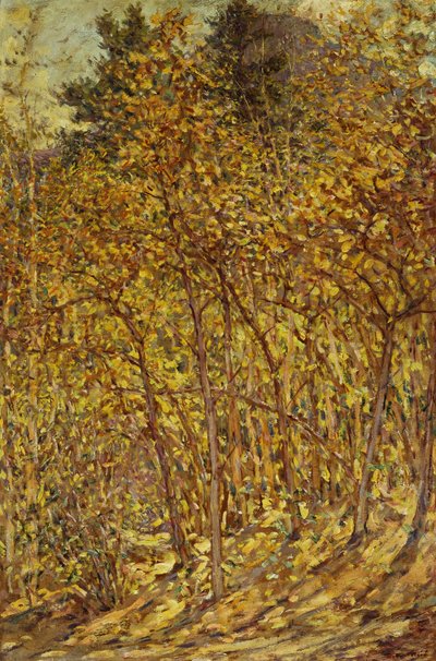 Herbstsonnenlicht von Robert Reid