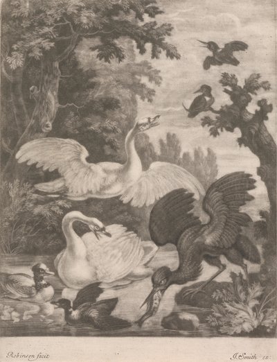 Wasservögel von Robert Robinson