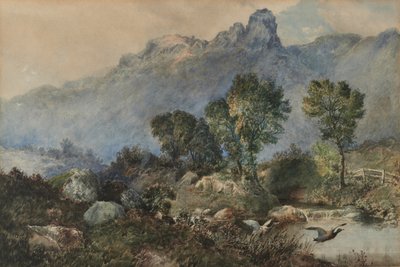 Landschaft mit Stockenten von Robert Scott Temple