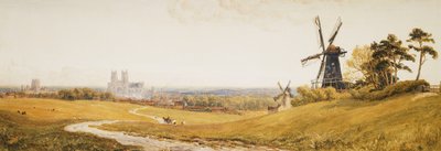Beverley Minster von Robert Thorne Waite
