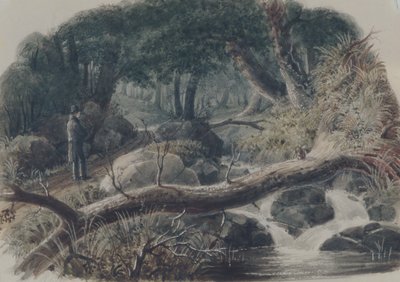 Der Eingang zu einem Wald, 1836 von Robert Walter Weir