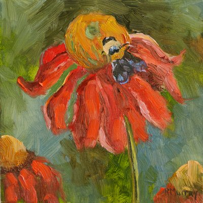Kismet Sonnenhut, 2023 von Roberta Murray