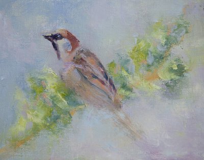 P. Domesticus von Roberta Murray