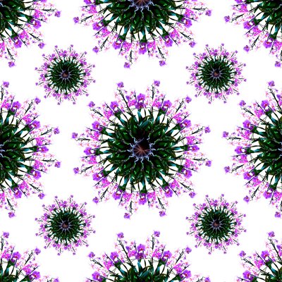 Orchideenwelt von Robyn Parker