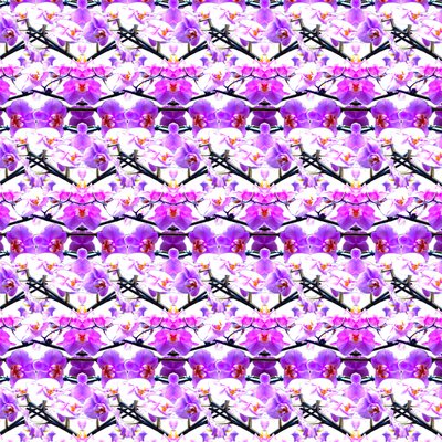 Lila Orchideenwiederholung von Robyn Parker