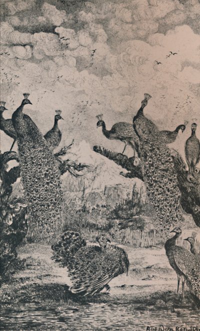 Die Pfauen, 1869, 1946 von Rodolphe Bresdin