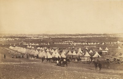 Plateau von Sebastopol II von Roger Fenton