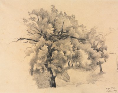 Studie von Bäumen von Roger de La Fresnaye