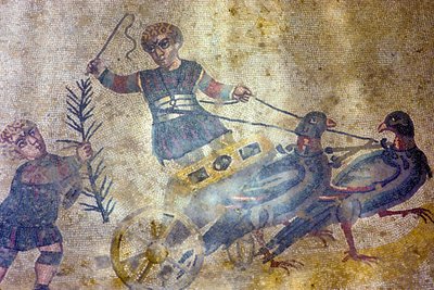 Vogelwagenlenker von Roman