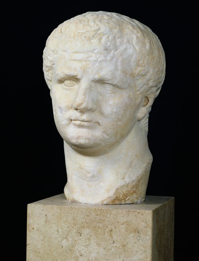 Kopf des Titus (39-81) (Marmor) von Roman