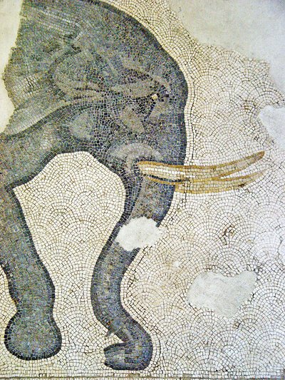Unbekanntes Bild von Roman