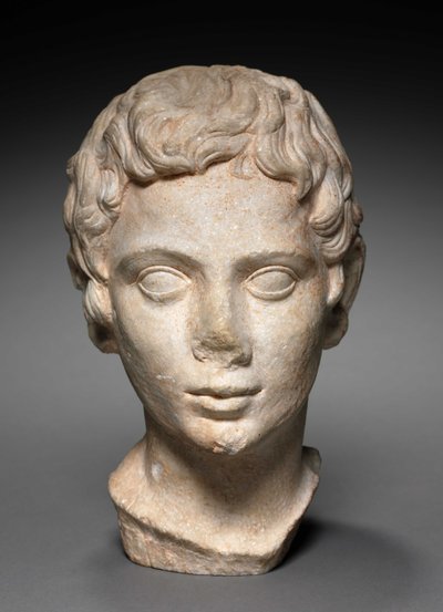 Kopf eines Jugendlichen, 100-1 v. Chr. von Roman Period Egyptian