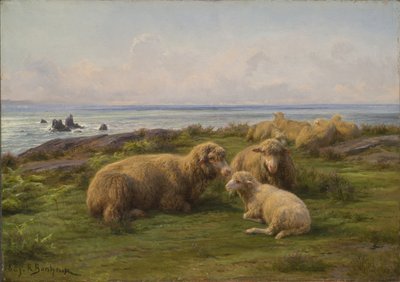 Schafe am Meer von Rosa Bonheur