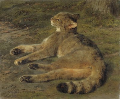 Wildkatze, 1850 von Rosa Bonheur