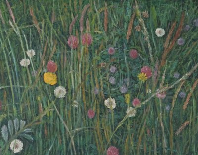 Pflanzen der Machair, 2008 von Ruth Addinall