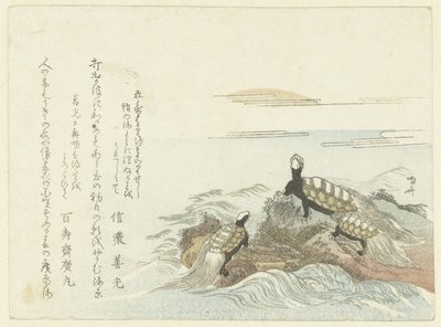 Schildkröten auf einem Felsen von Ryuryukyo Shinsai