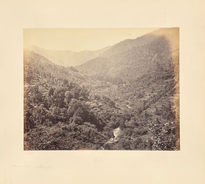 Kulu-Tal unterhalb von Rusala von Samuel Bourne