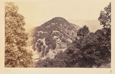 Simla; Elysium Hill von Samuel Bourne