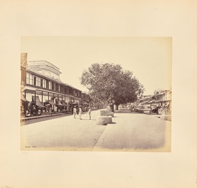 Die Chandni-Chouk, Hauptstraße in Delhi von Samuel Bourne