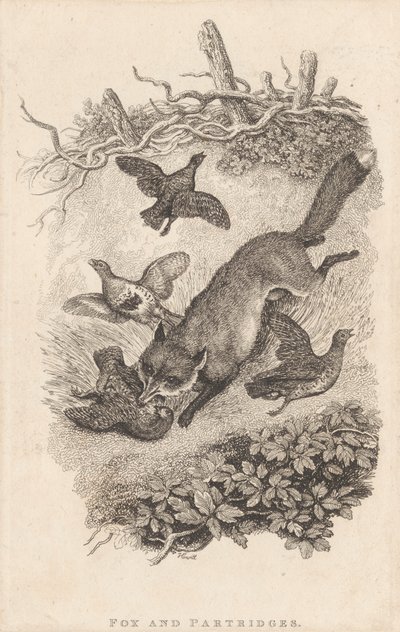 Fuchs und Rebhühner von Samuel Howitt