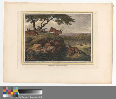 Das Kaninchen von Samuel Howitt