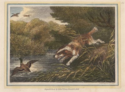 Der Wasserspaniel von Samuel Howitt