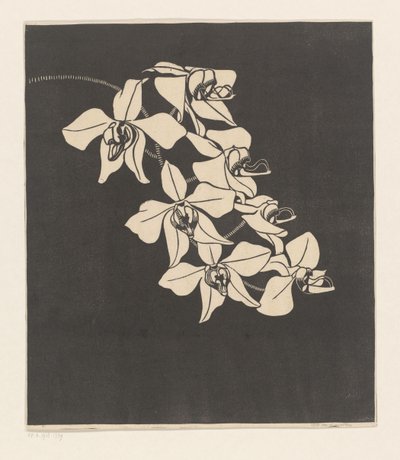 Orchideen von Samuel Jessurun de Mesquita (signed by artist)