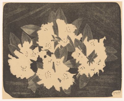Rhododendron von Samuel Jessurun de Mesquita (signed by artist)