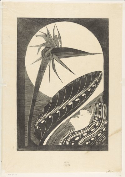 Verblühte Strelitzia von Samuel Jessurun de Mesquita