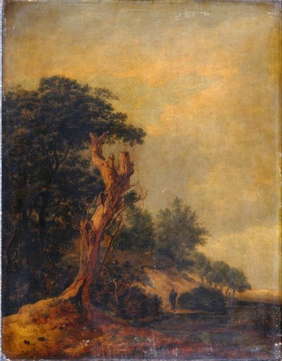Landschaft in Nachahmung von Jacob Ruisdael von Samuel Woodburn