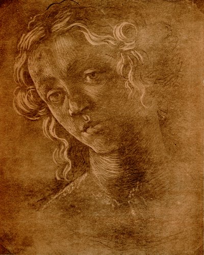 Weiblicher Kopf von Sandro Botticelli