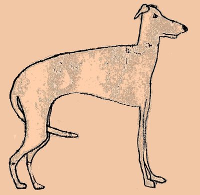 Dünner Hund von Sarah Thompson Engels