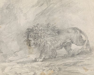 Löwe, der in felsiger Landschaft geht von Sawrey Gilpin