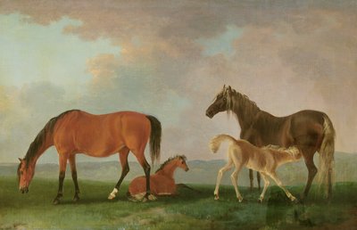 Stuten und Fohlen von Sawrey Gilpin