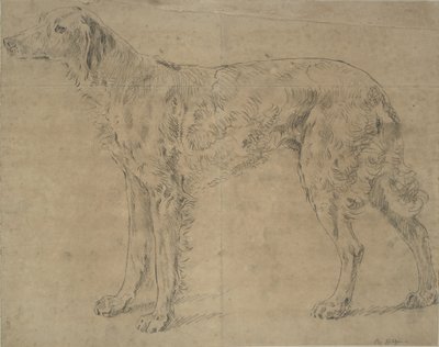 Jagdhund von Sawrey Gilpin