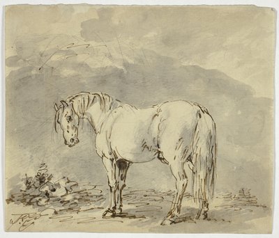 Stehendes Pferd mit gedrehtem Kopf von Sawrey Gilpin