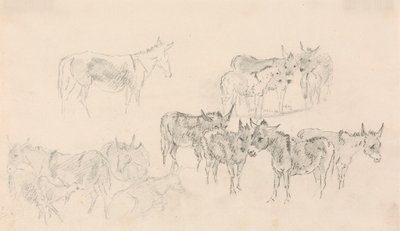 Studien von Eseln von Sawrey Gilpin