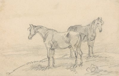 Zwei Pferde von Sawrey Gilpin