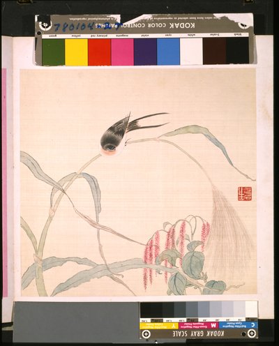 Album von Blumen und Vögeln von School Chinese