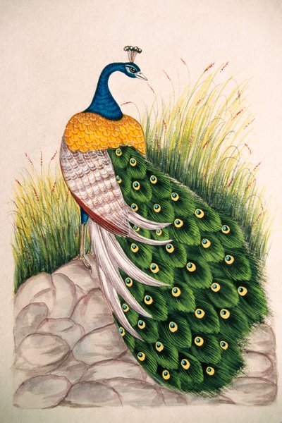 Miniaturmalerei auf Seide Pfau von School Indian