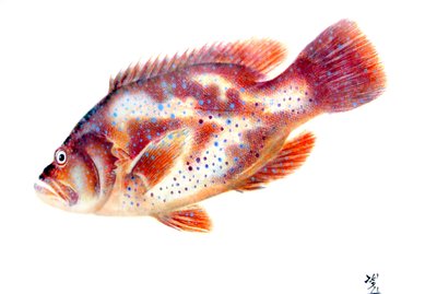 Gyotaku von Japanese School