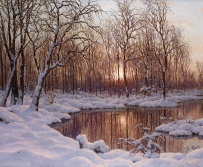 November von Schultze
