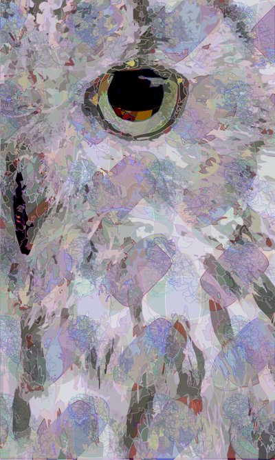 Eule3 von Scott J. Davis
