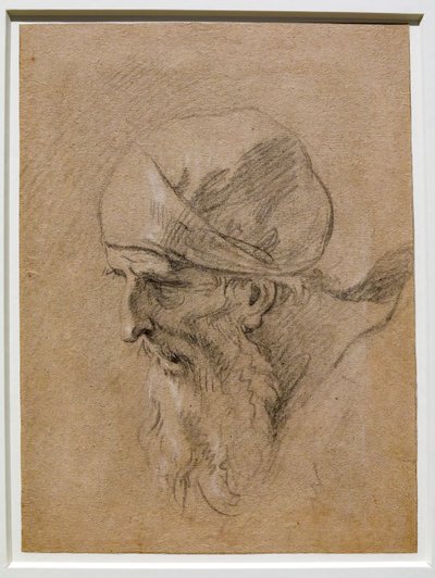Kopf eines alten Mannes von Sebastiano Ricci